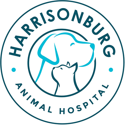 Harrisonburg Animal Hospital